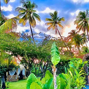 Majo Lounge Dans Un Jardin Tropical A 5 Min De La Caraibe Saint-Pierre